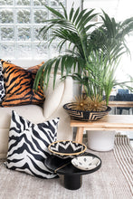 Load image into Gallery viewer, Zebra Velvet Pillow