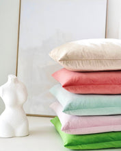 Load image into Gallery viewer, Light Pink Velvet Pillow
